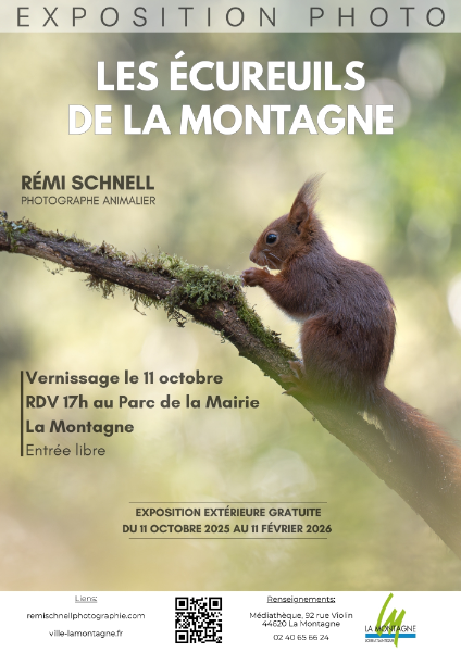 Couverture de Exposition : Les écureuils de La Montagne