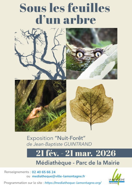 Couverture de Sous les Feuilles d'un arbre